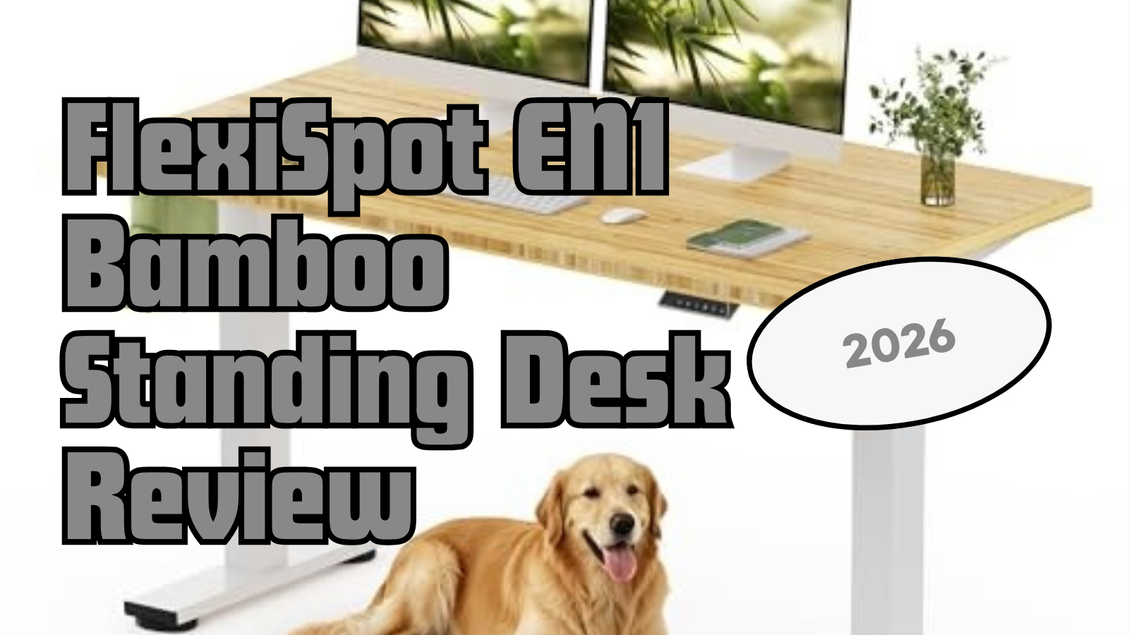 FlexiSpot EN1 Bamboo Standing Desk | $240 Review (2026)