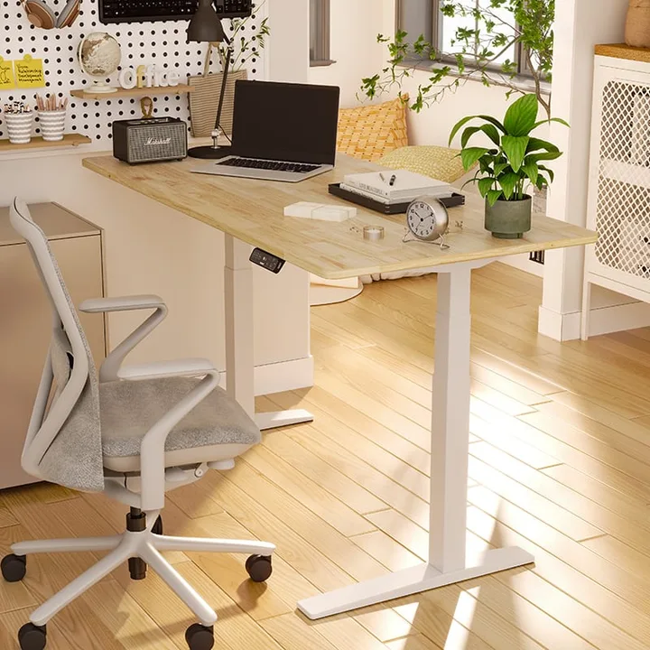FlexiSpot E7 Pro standing desk