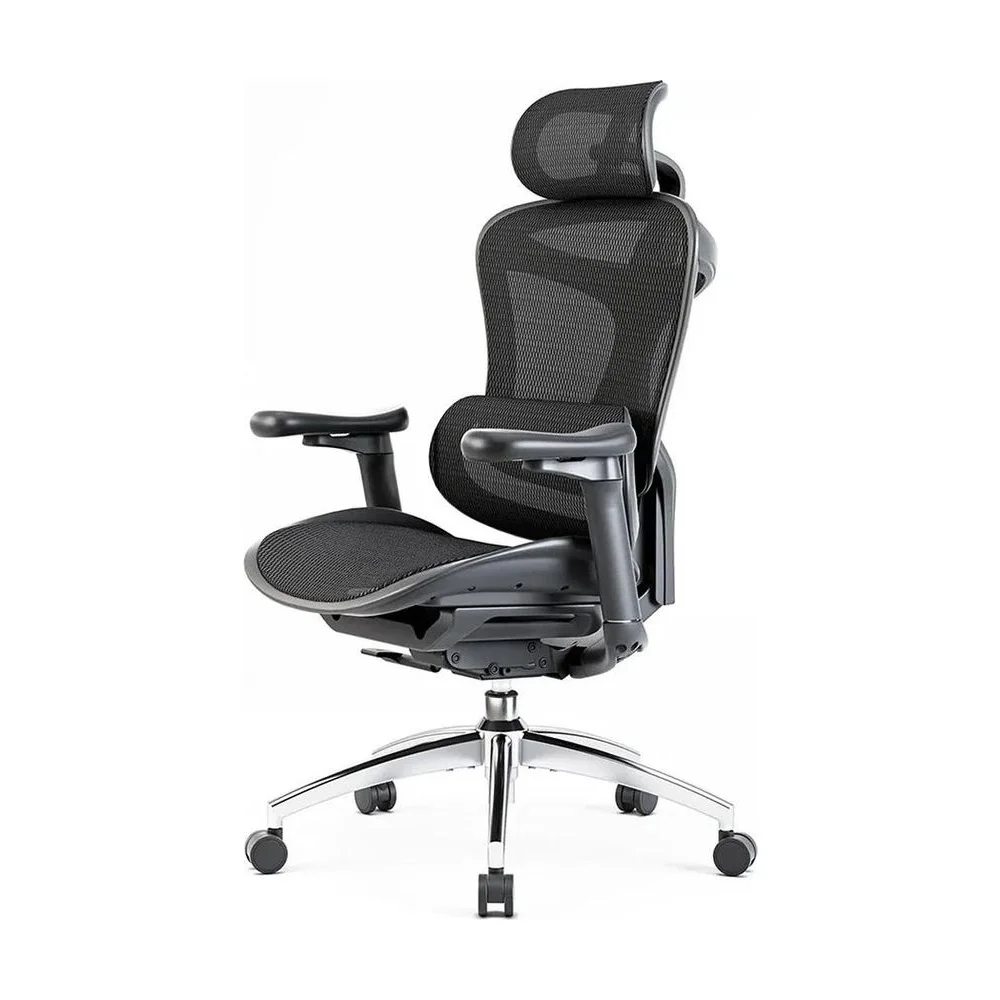 Sihoo Doro C300 Ergonomic Chair