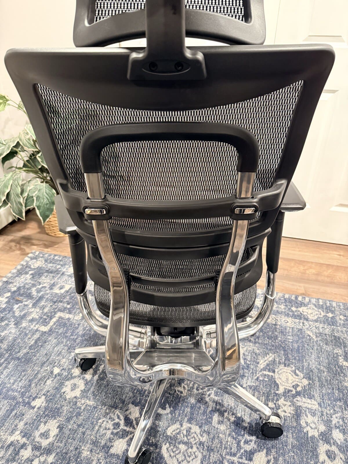 Intuition Ergonomic Chair segmented mesh back with self-adjusting lumbar