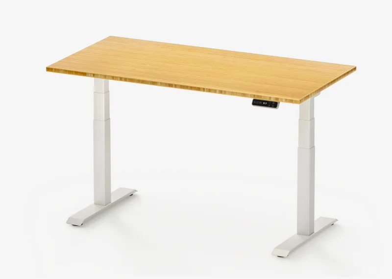 FlexiSpot E7 Standing Desk